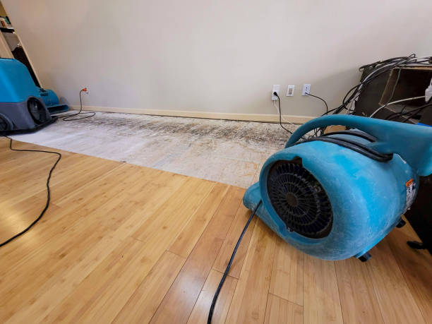Professional Water Damage Repair technician working in Mecca, CA